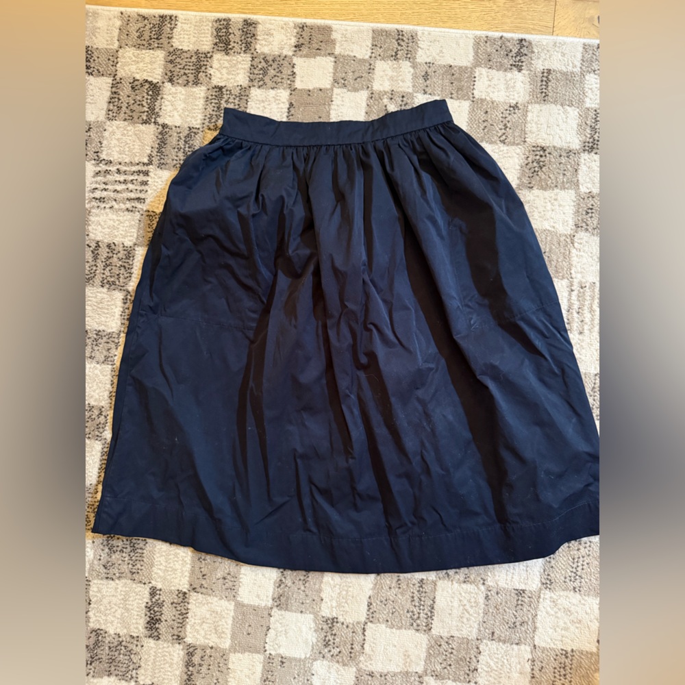 Zara Midnight Blue Skirt